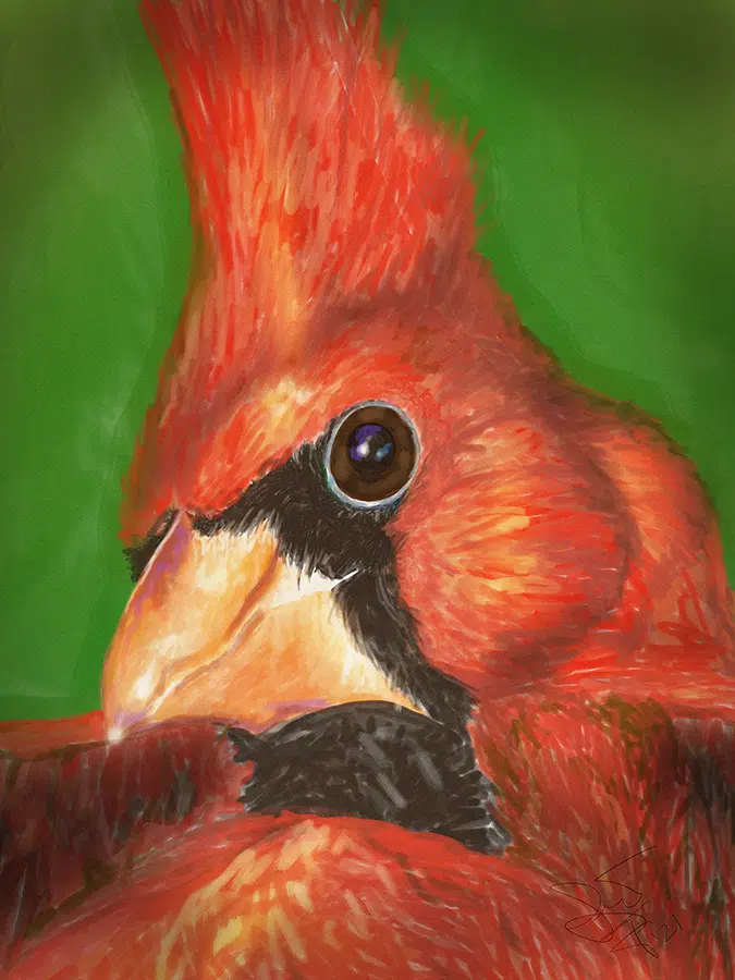 Cardinal