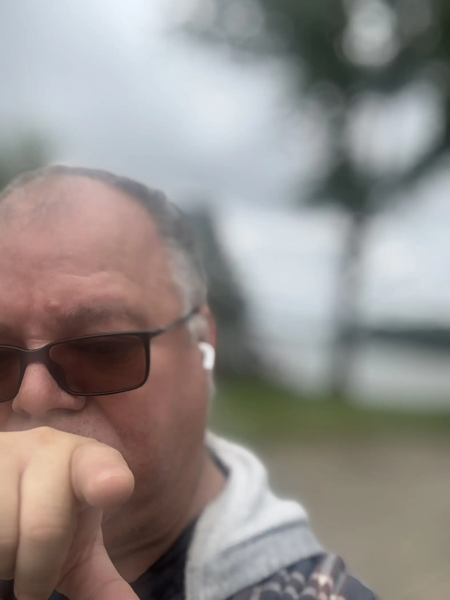 About The Art of Lester West Picture