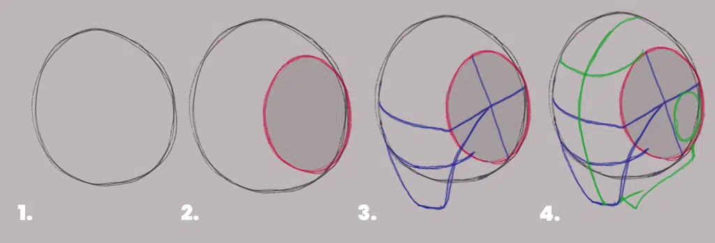 Steps in sketching with the Loomis method.