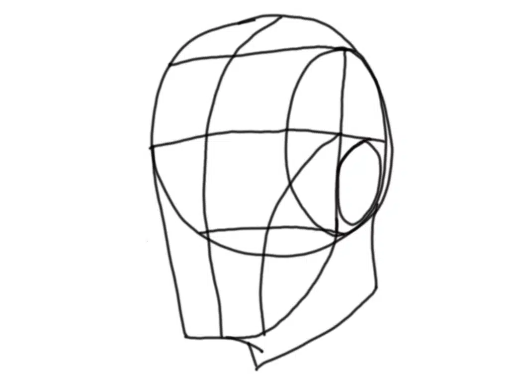 The Loomis Method head using geometric shapes - The Art of Lester West - The Art of Lester West The Loomis Method head using geometric shapes - The Art of Lester West