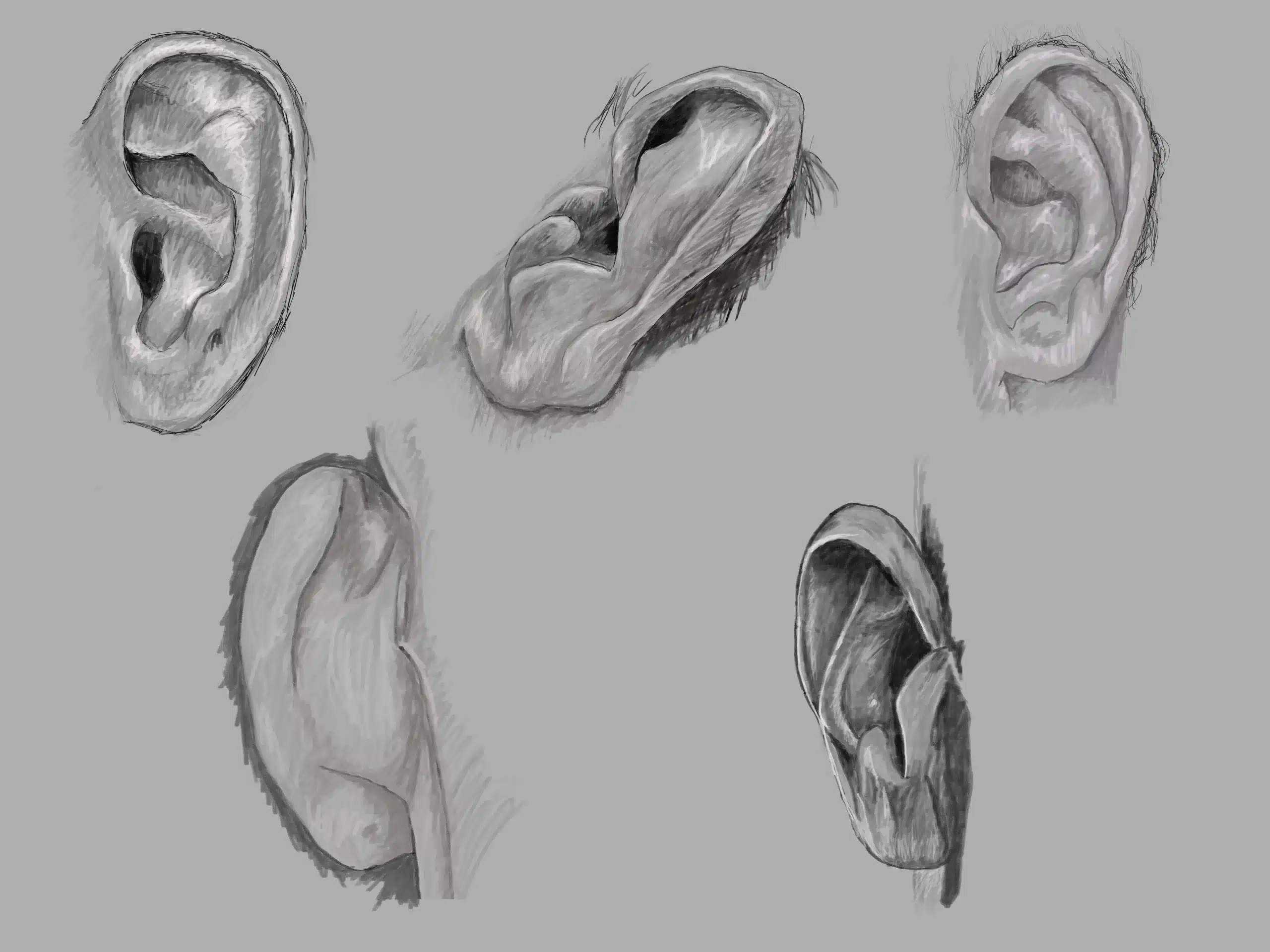 Sketches of several positions of a human ear.