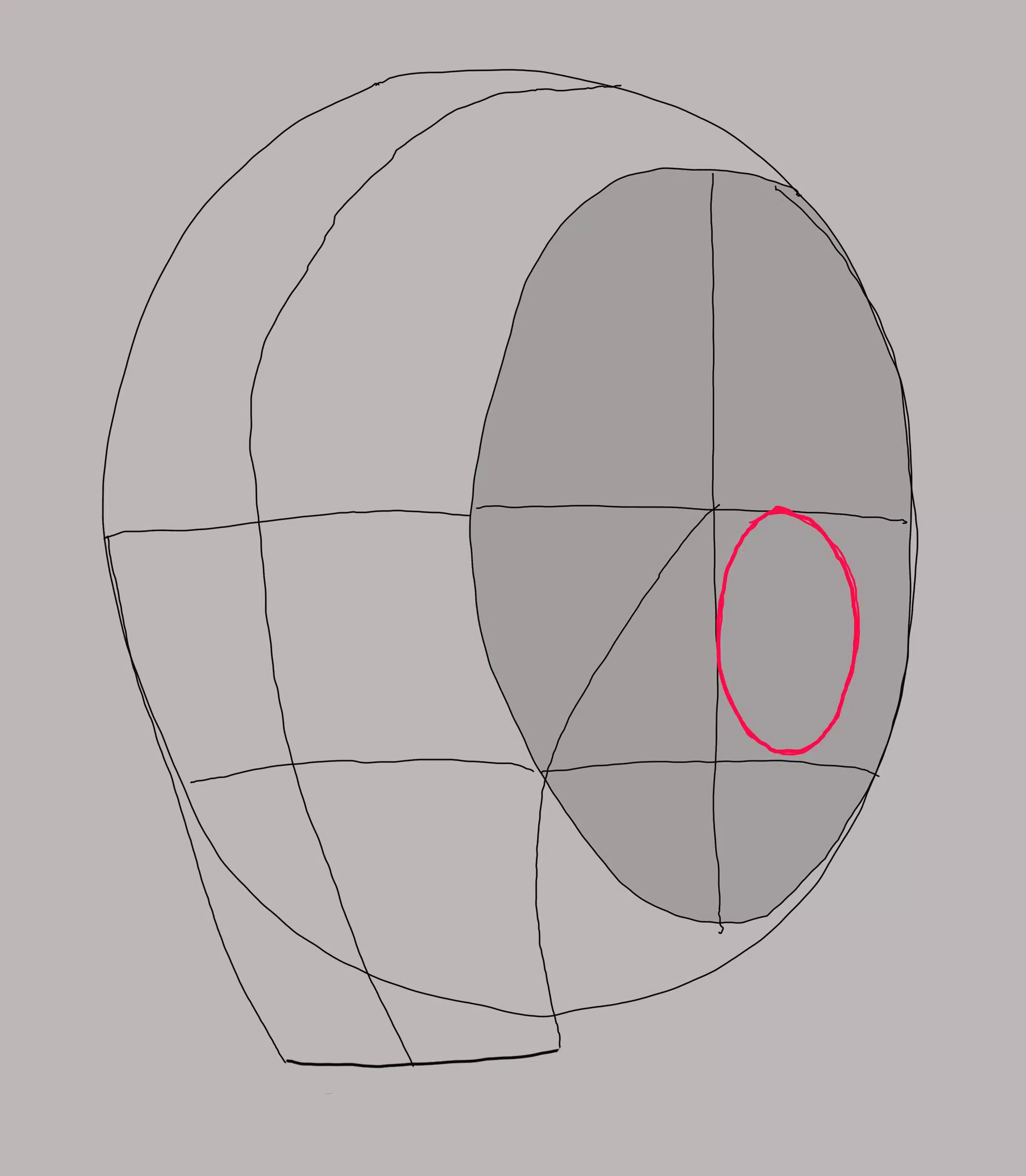 A picture of a Loomis Method head showing the placement of the ear.