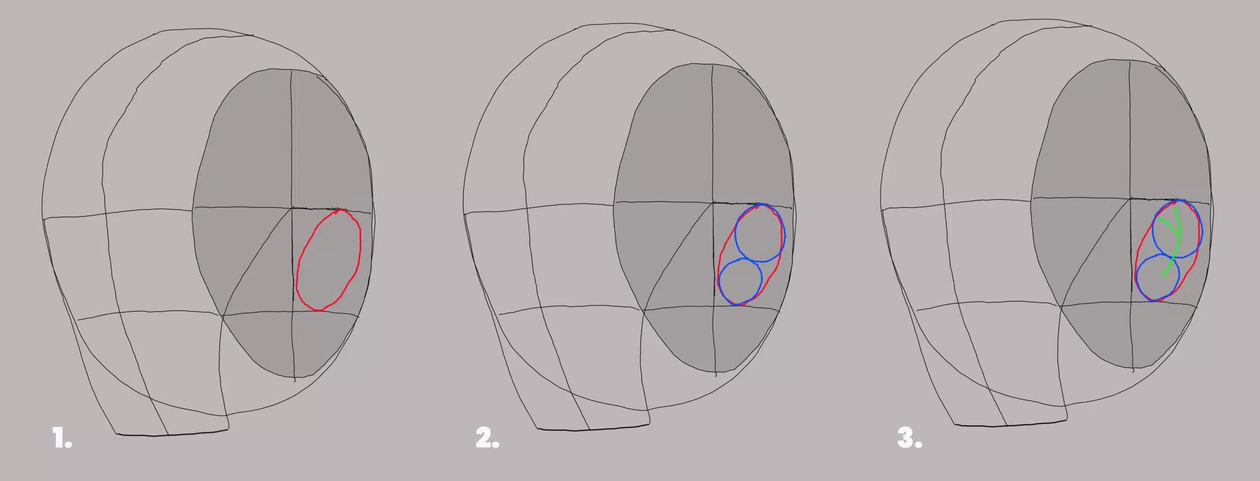 Showing the three steps of sketching an ear on a Loomis Method head.