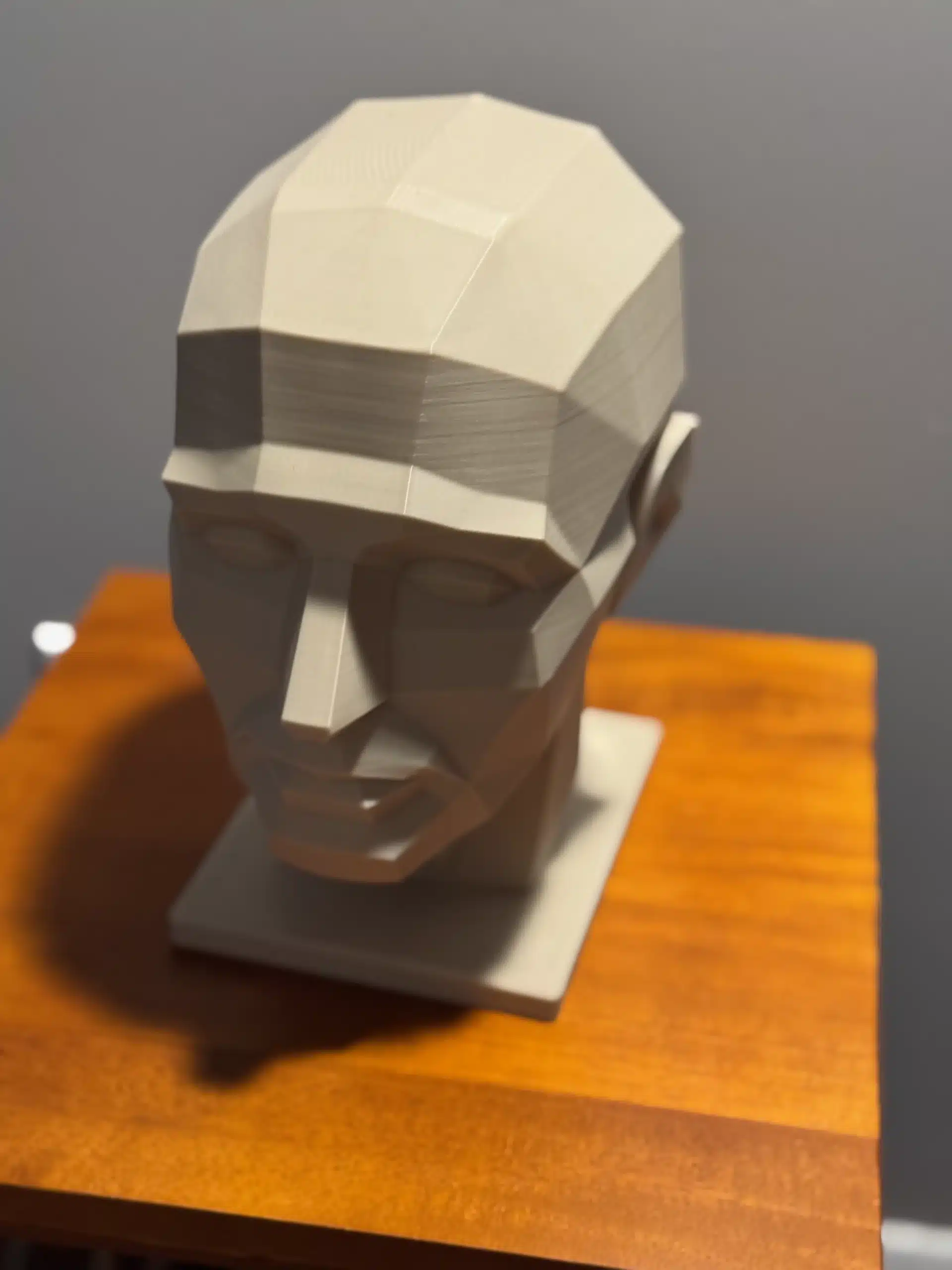 A mold of a human head, showing its planes.