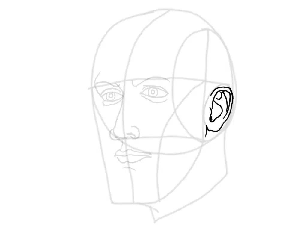 Line drawing of a head in profile with construction lines across the face and a darkly outlined ear on the right side.