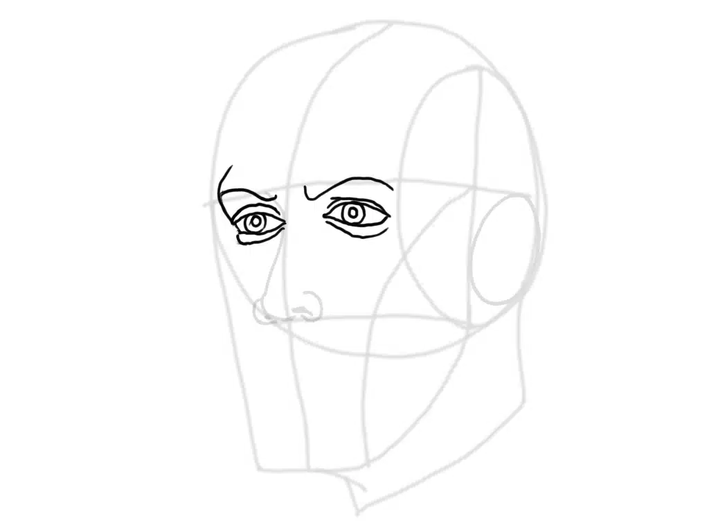 A picture of the Loomis head with drawn eyes on top of it.