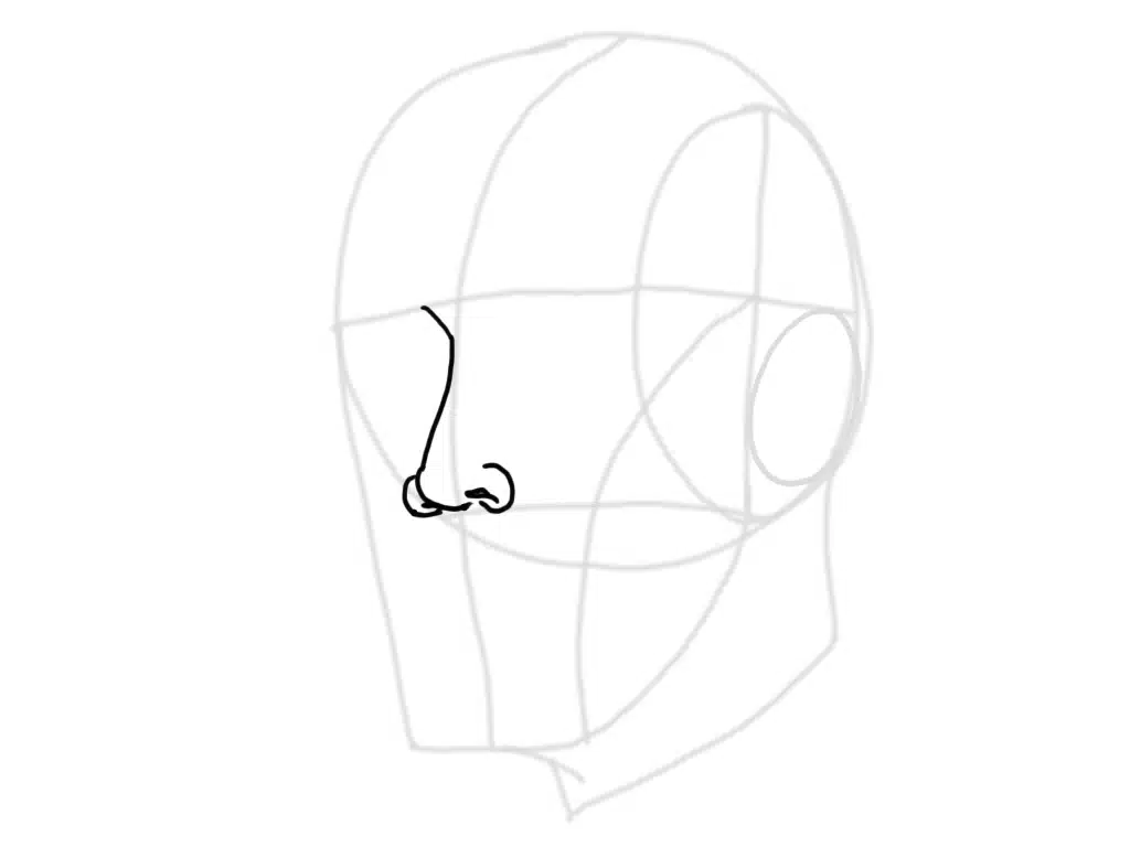 A picture of a Loomis head with a drawn nose on it.
